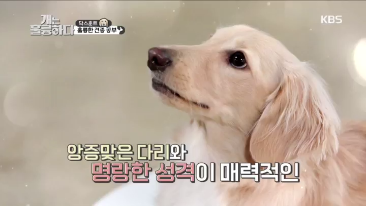 thumb.png?ts=1578319217