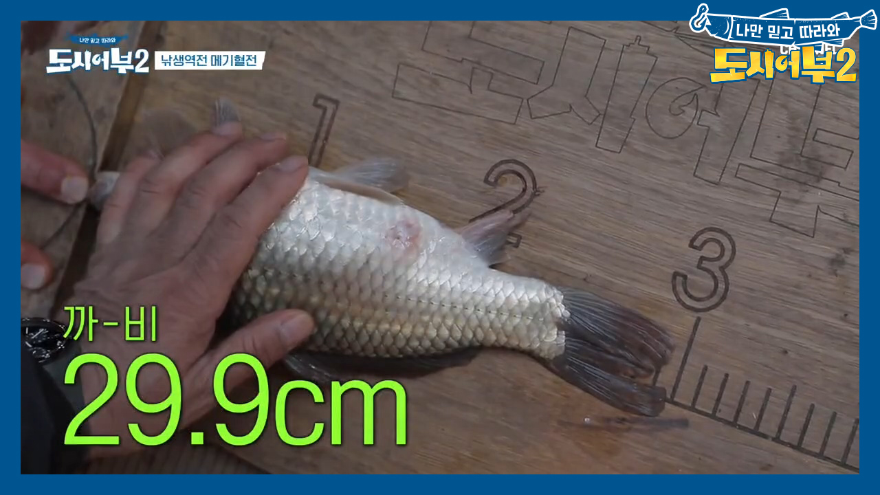 NO 주작! 상렬이는 크기 미달 29.9cm 붕어만 잡아ㅋㅋㅋ (ft. ...