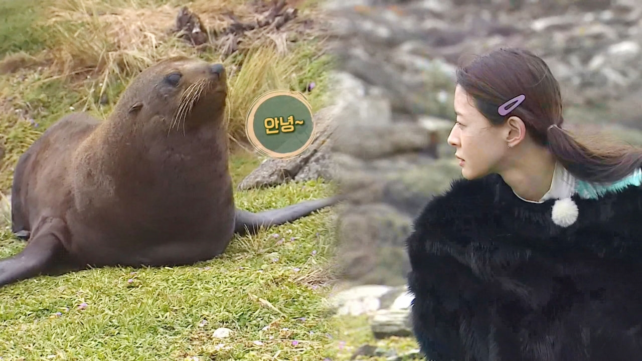 순수소녀 나라, 조심스레 물개와 교감하기!