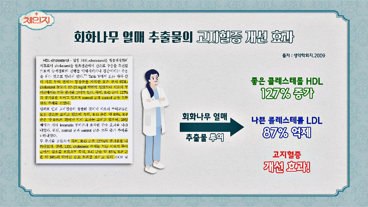 회화나무 열매의 또 다른 효능 &#39;고지혈증 개선 효과&#39;