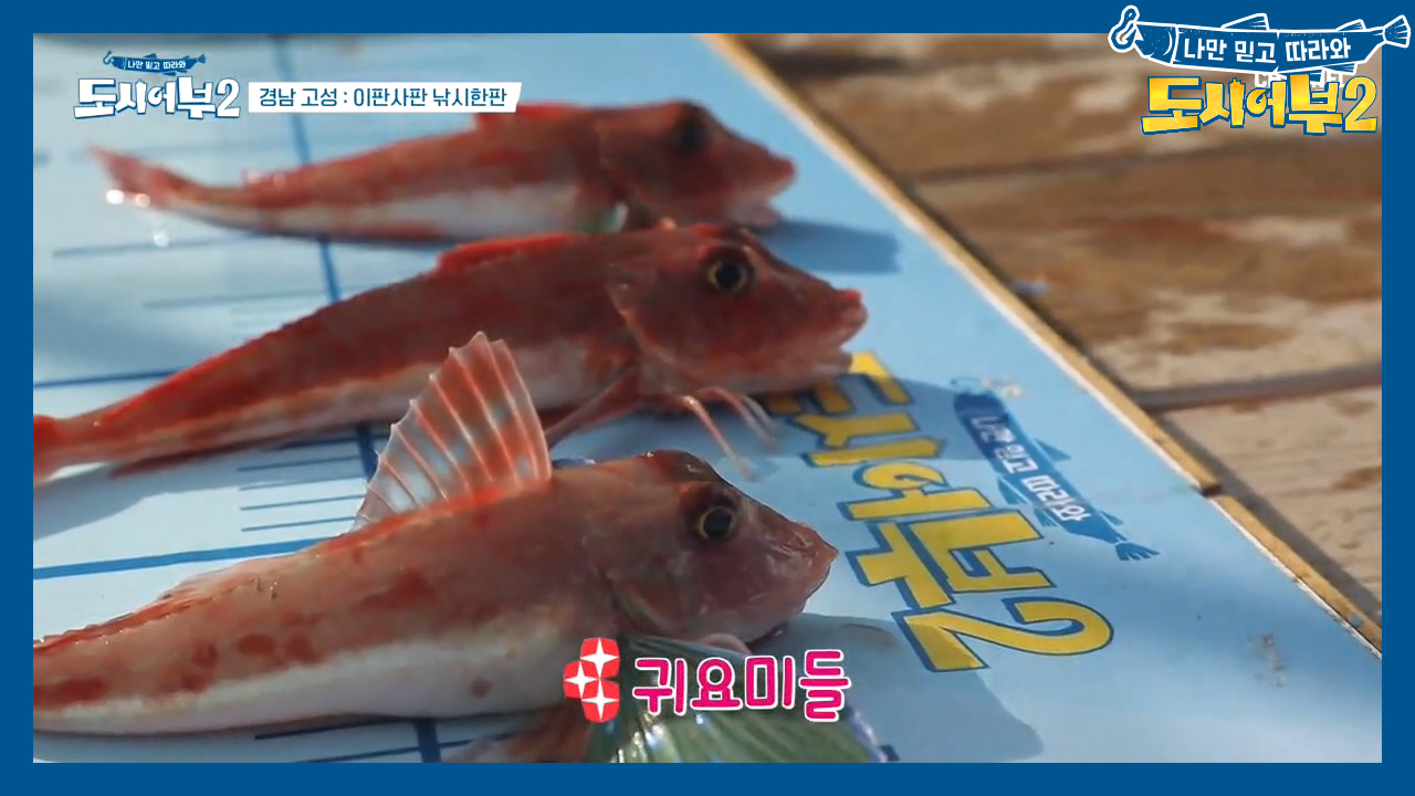 잡어 모아 태산^^b 수근, 3성대로 2위까지 올라서다?!