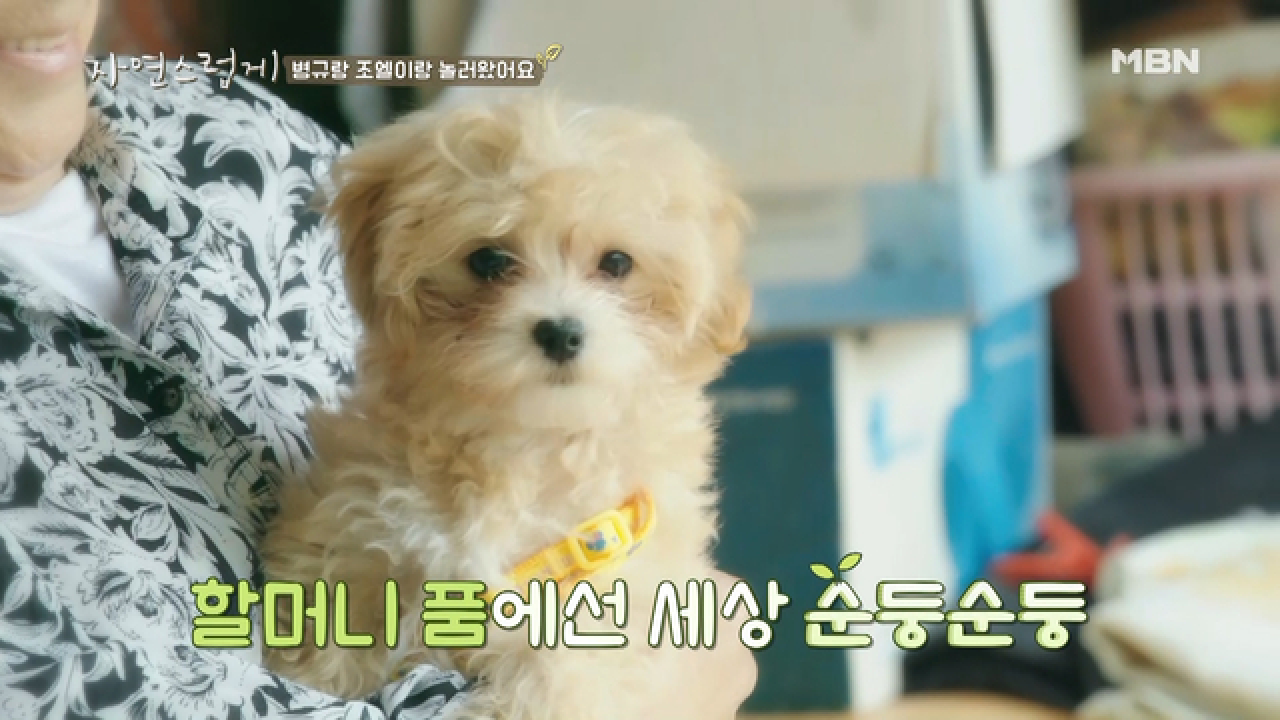 &#39;꼭 봐주세요..♥&#39; 조병규의 세상 하나뿐인 뽀시래기 매력방출!