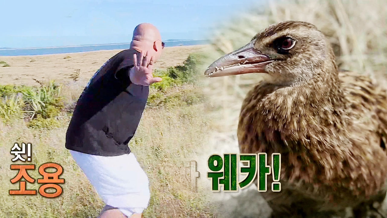 돈스파이크, 도착하기 무섭게 공항을 휘저으며 ‘웨카 추격전’