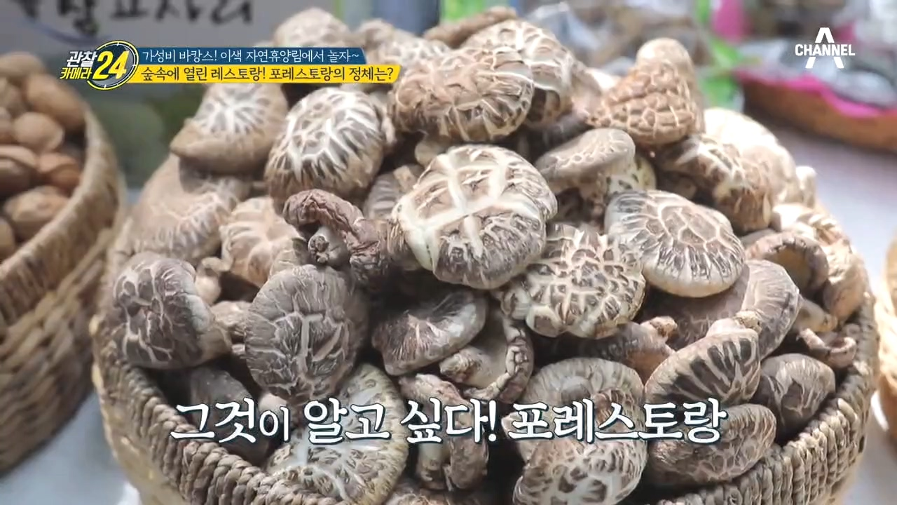 숲도 살리고 내 몸도 살리고! 임산물로 요리하는 '포레스토랑' 납시오~