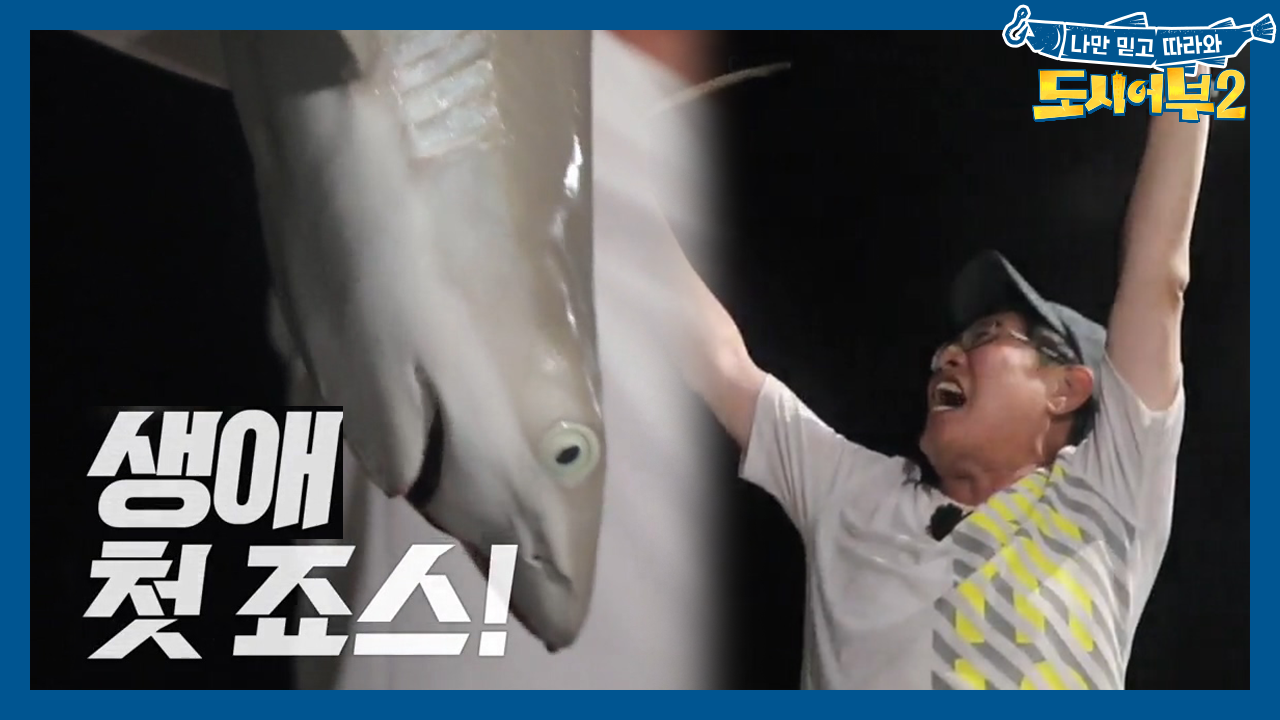 경규, 내 생애 첫 죠스! 바다의 지배자 샤크 등장!