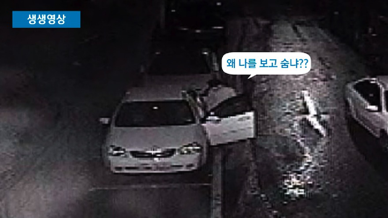  차량 털이범의 황당한 최후