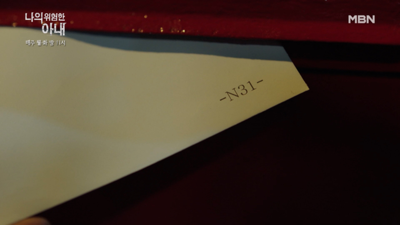 다시 등장한 N31의 메시지!!! 모든 것을 알고 있는 N31의 정체는 무엇인가