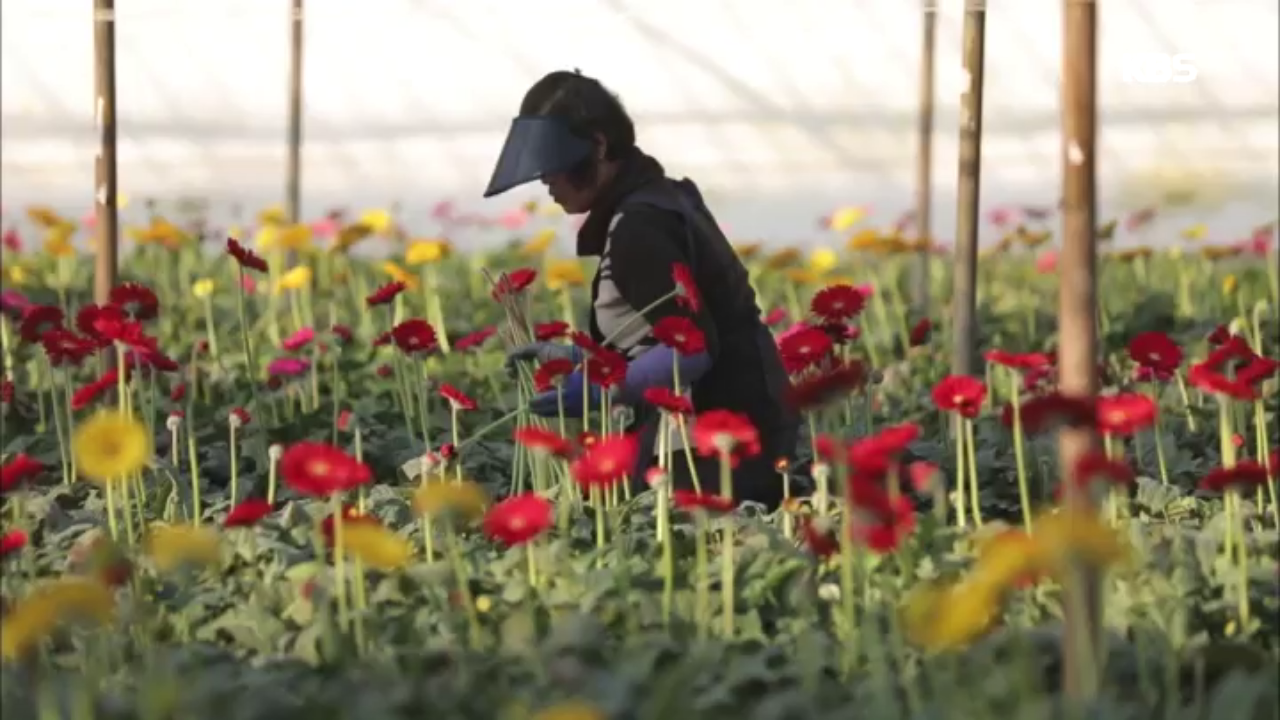 꽃 한 송이 피우기 위해 뜨거운 땀방울을 흘리는 사람들