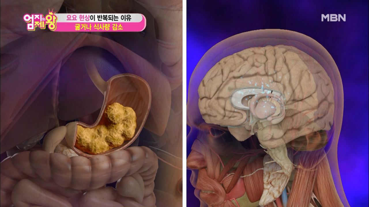 thumb.png?ts=1579006237