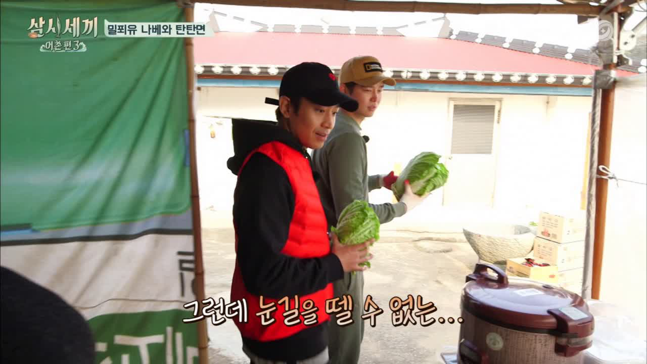 세끼집 배추 득량도 히트!