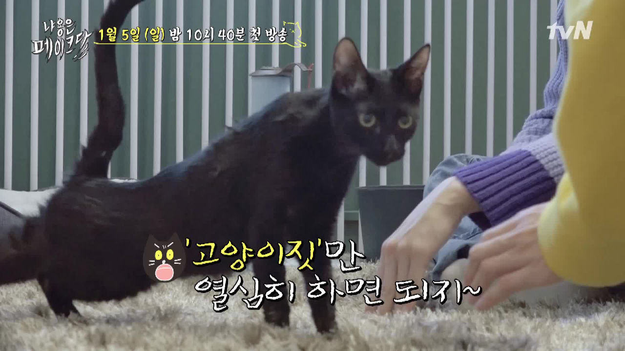 thumb.png?ts=1578237487