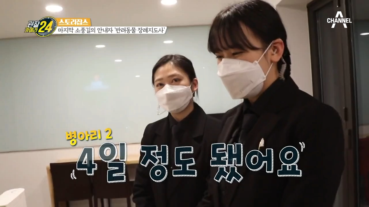 (긴장되는 실습) '반려동물 장례지도사'가 되기 위한 첫걸음!