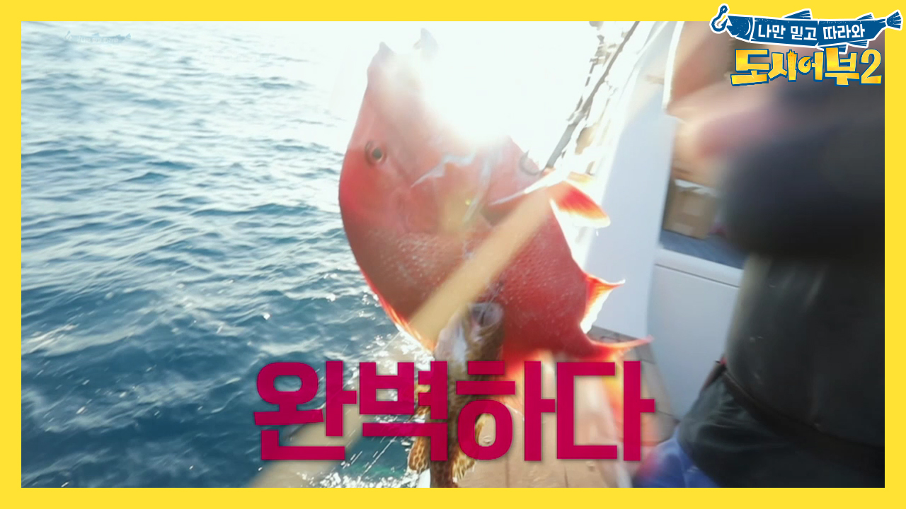 [다음이야기] 이것이 바로 꿈의 낚시. 더 거칠고, 더 강력하다!