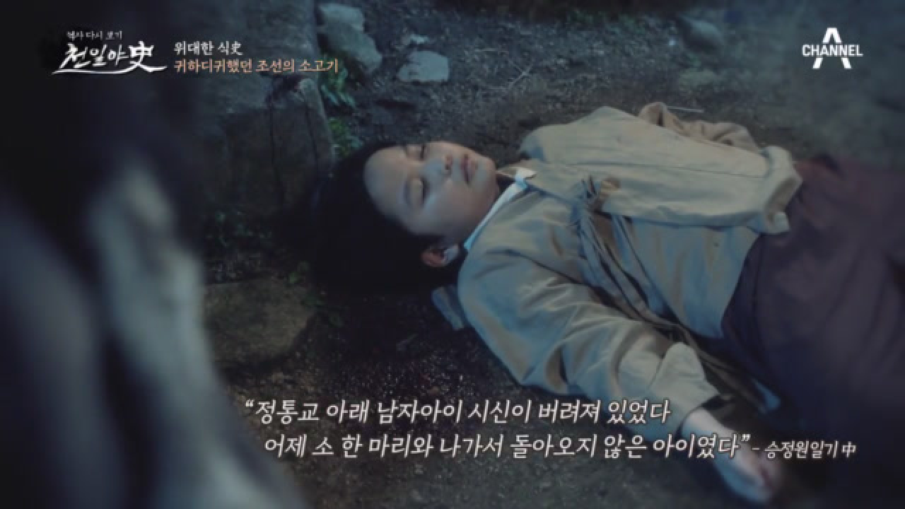 관청에 허가 없이는 잡지도 먹지도 못한 귀한 '소', 소 ...