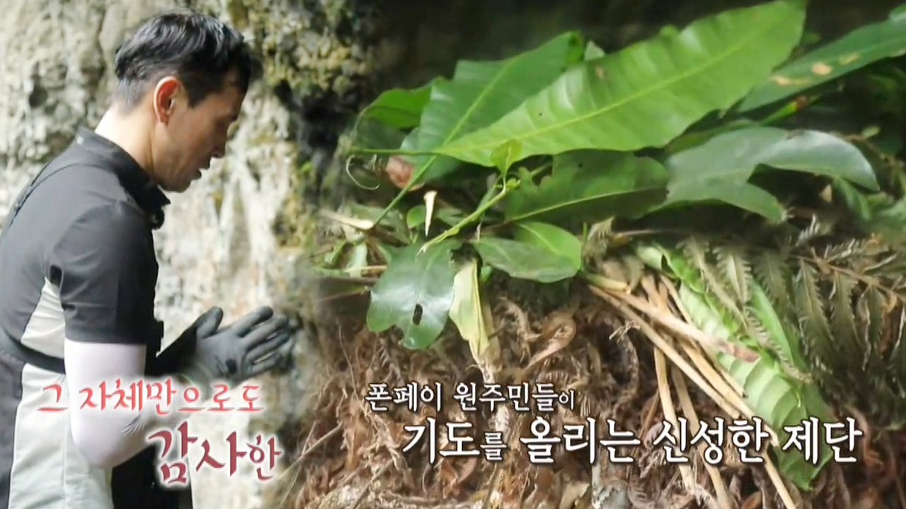 thumb.png?ts=1582388465