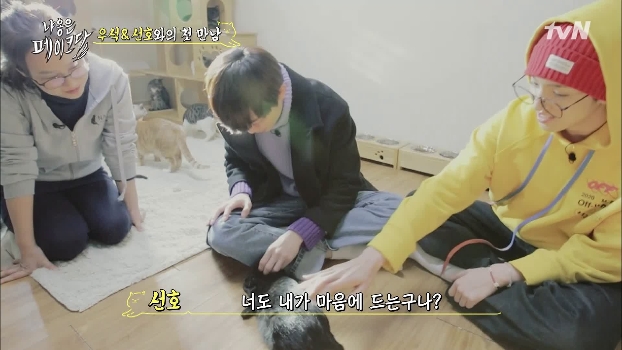 thumb.png?ts=1578237489