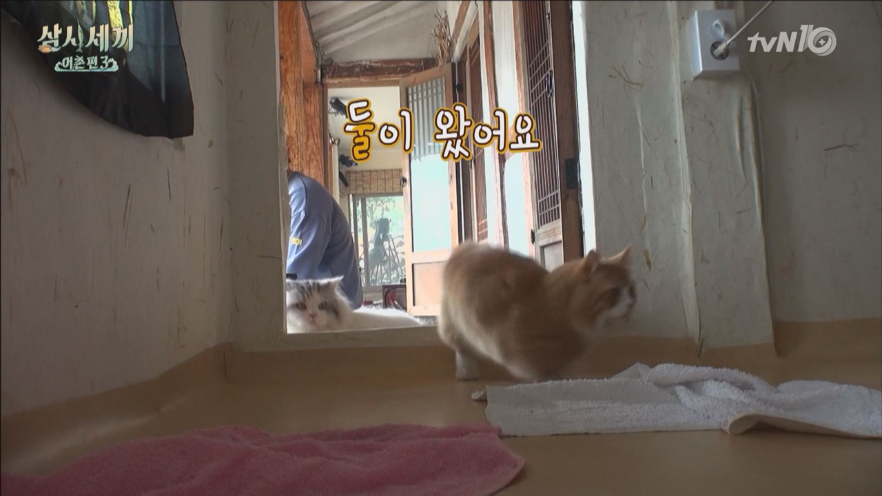 축) 서지니 쿵몽냥과 합방!