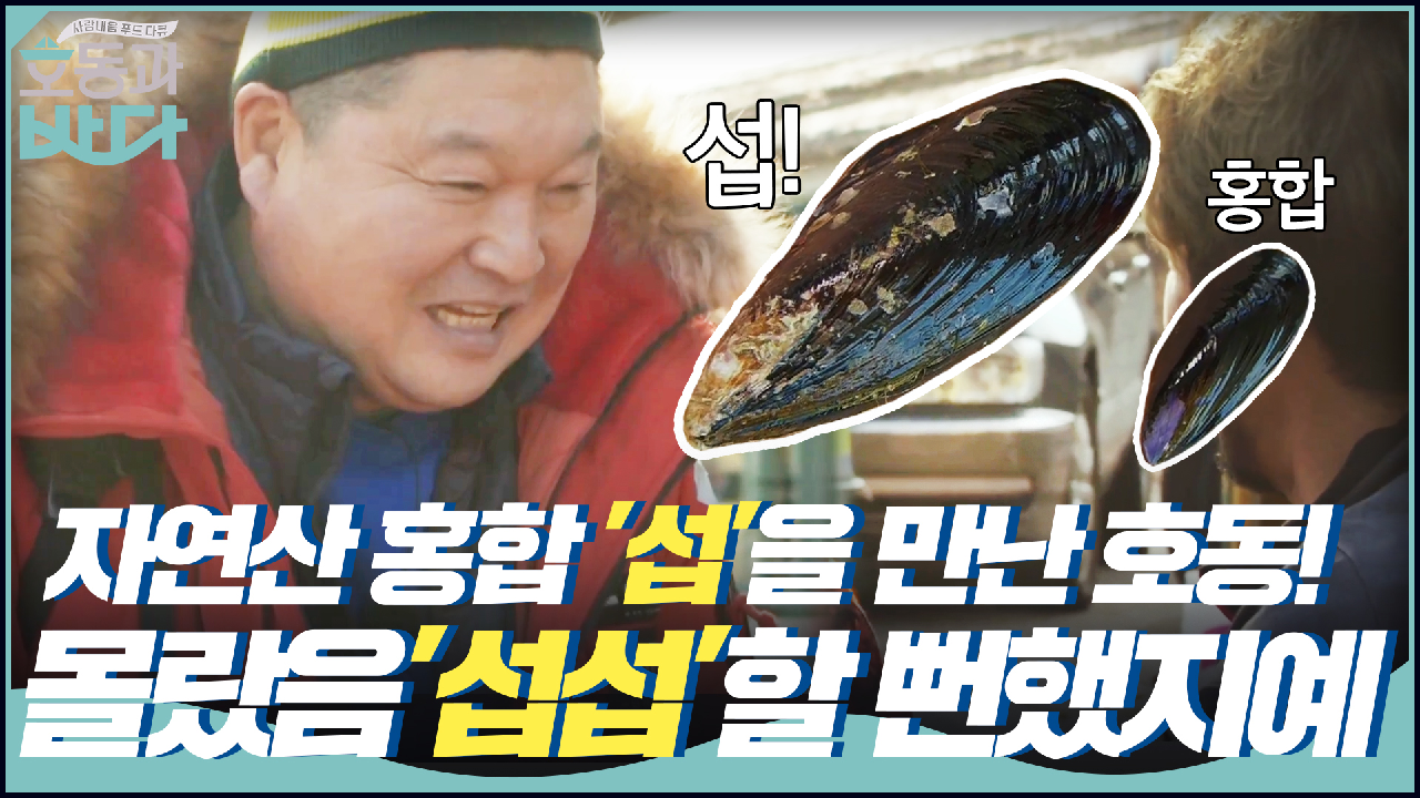 자연산 홍합 ′섭′을 만난 호동! 몰랐음 ′섭섭′할 뻔했지예~? - kakaoTV 자연산 홍합 ′섭′을 만난 호동! 몰랐음 ′섭섭′할 뻔했지예~?