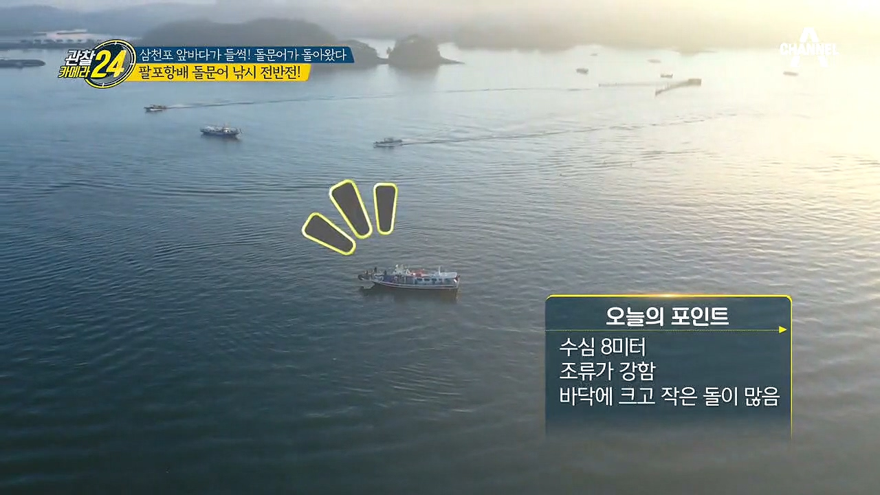 새벽 출항! 첫 돌문어의 영광은 누가 가져갈 것인가...!