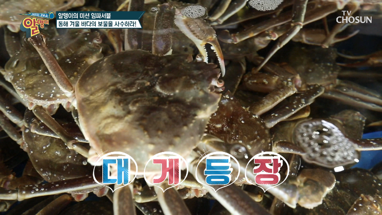 thumb.png?ts=1582448075