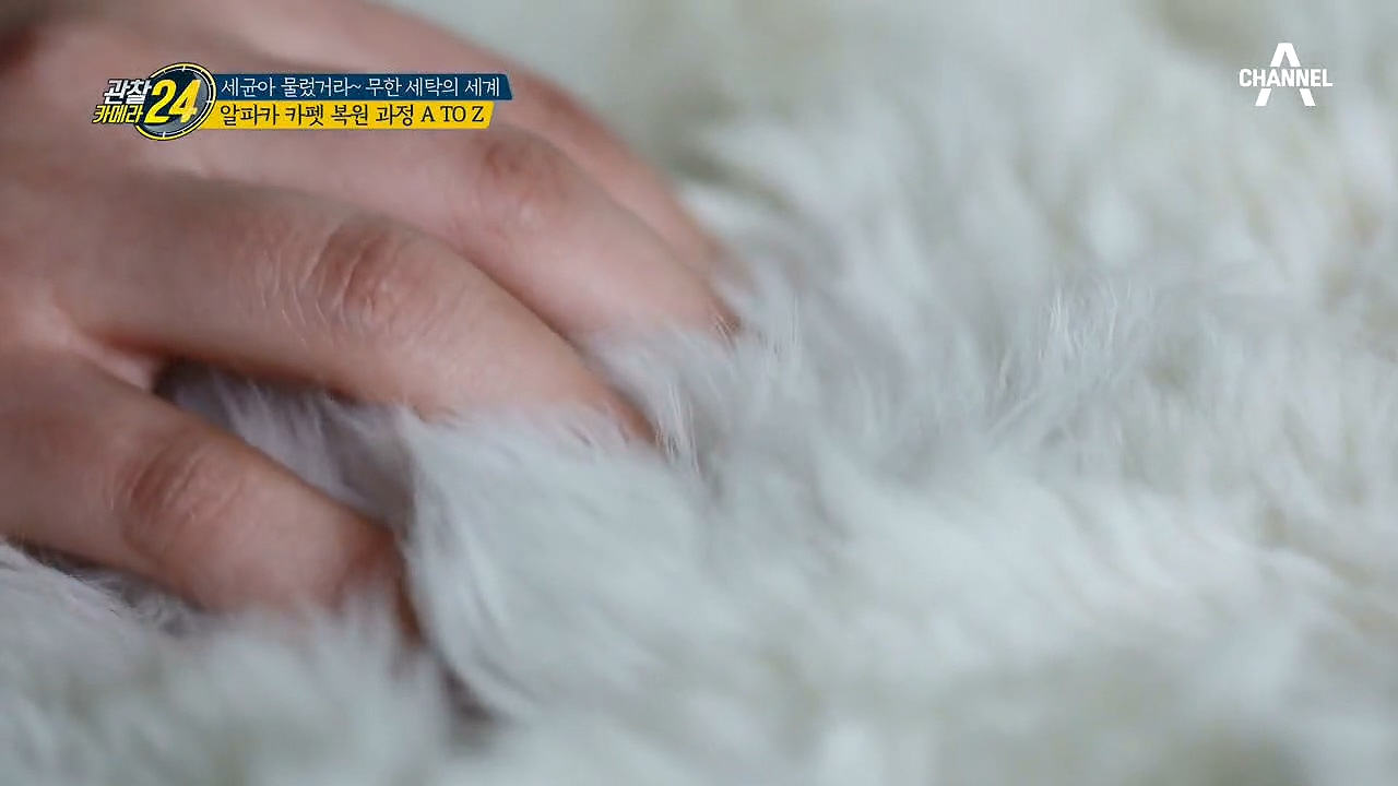 ＂@_@..이걸 왜 찢으세요?＂ 알파카 카펫 복원 과정의 A~Z!