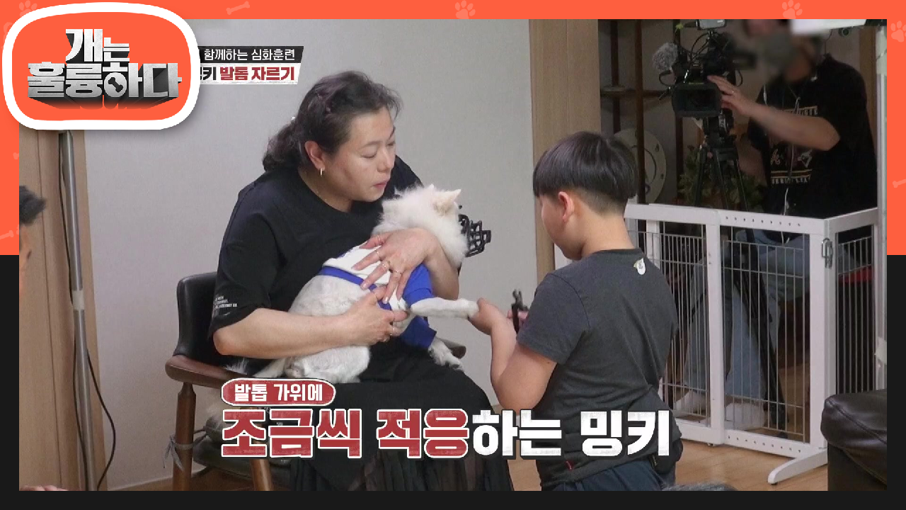 부정적인 느낌을 간식을 통해 긍정적으로 바꾸는 훈련! (ft. 못마땅한 규제자) | KBS 210524 방송