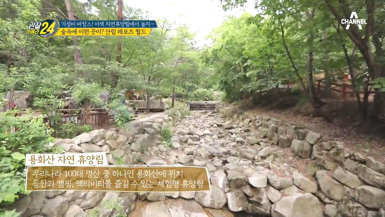 숲속에 이런 곳이?! 산림에서 레포츠를 즐기다, '용화산 자연 휴양림'