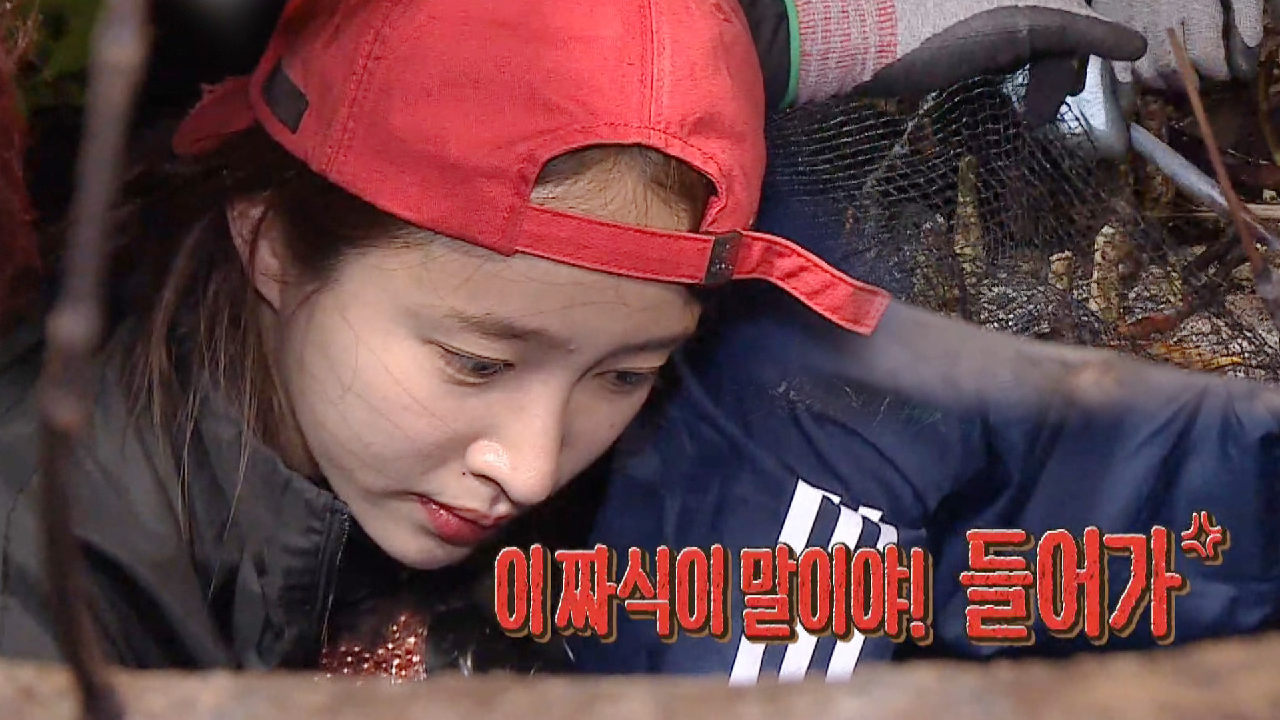 “들어가! 짜샤!” 하니, 맹그로브 크랩에 걸크러시 발사↗