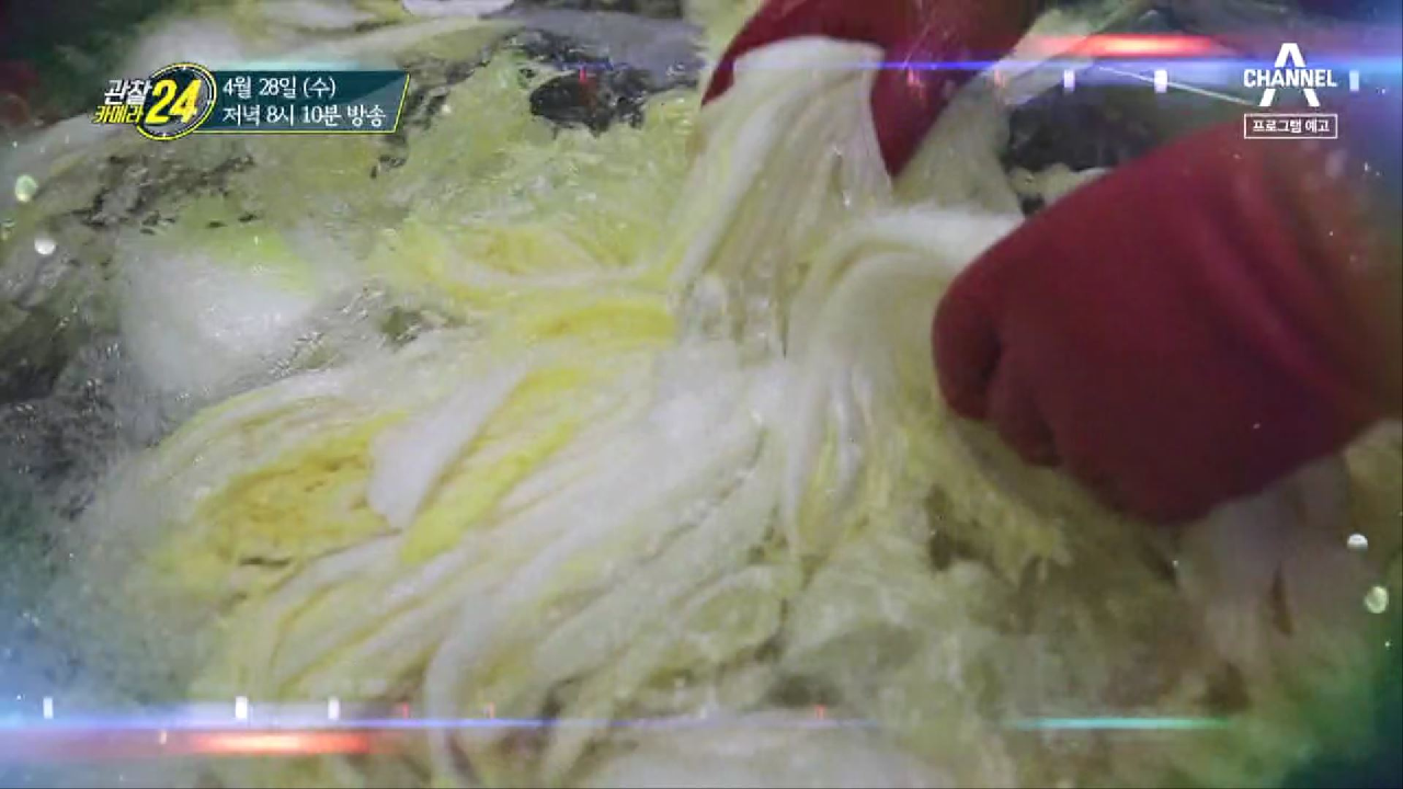 관찰 카메라 24 186회