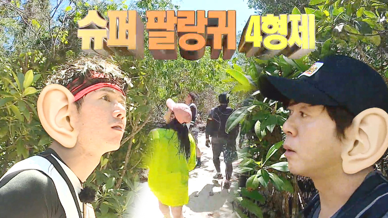 슈퍼 팔랑귀 4형제, 하니에게 속고 간 막다른 길