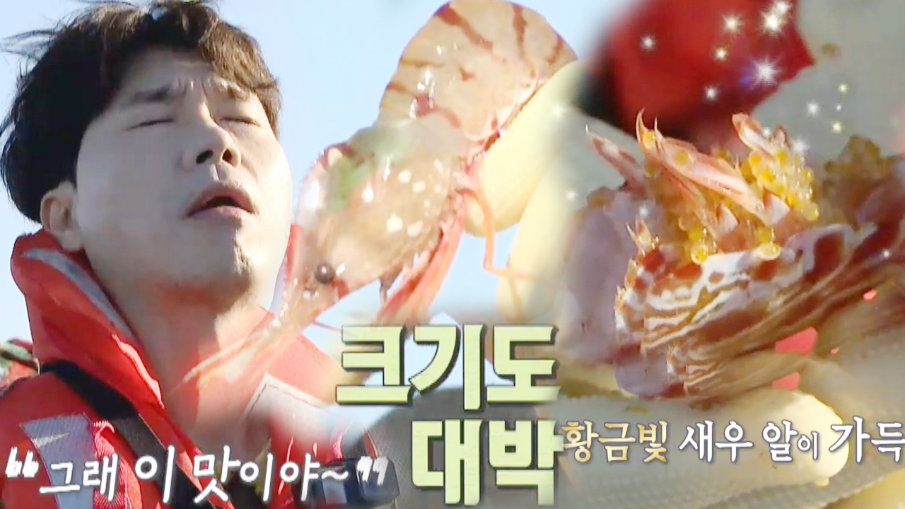 박수홍, 울릉도 5味 대표 ‘독도 새우’ 영접에 황홀!