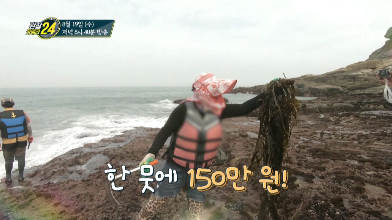 관찰 카메라 24 151회