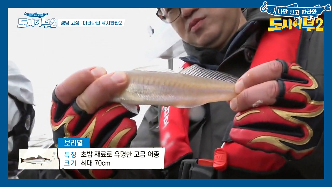 오늘도 잡어X100...? ㅠㅅㅠ 덕화, 고급 어종(?) 보리멸 획득!!