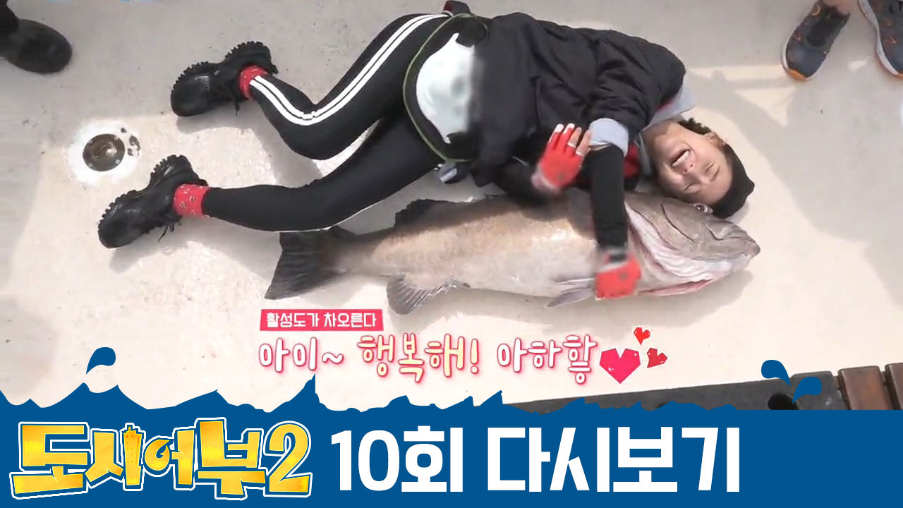 꼬여버린 보라와 개코의 줄ㄷㄷ 초.거.대 하푸카의 *진짜* 주인은?!(긴...