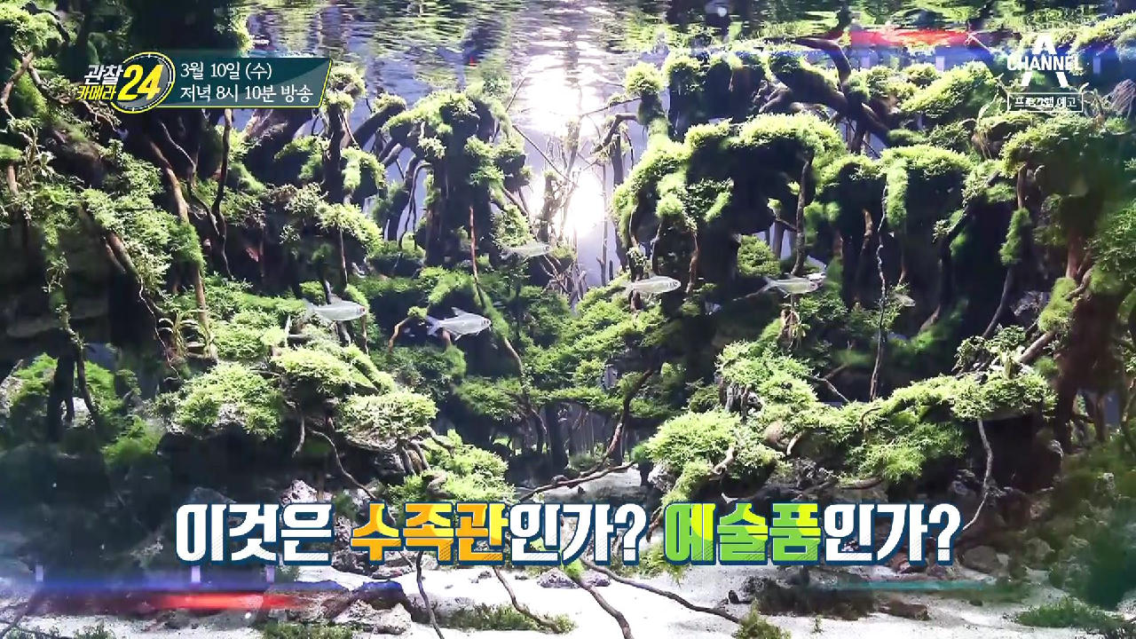 관찰 카메라 24 180회