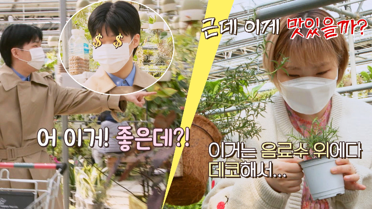 ?극과 극 식물 쇼핑? 식물로 재테크하려는 찬혁과 식용식물만 찾는 수현 | JTBC 210503 방송