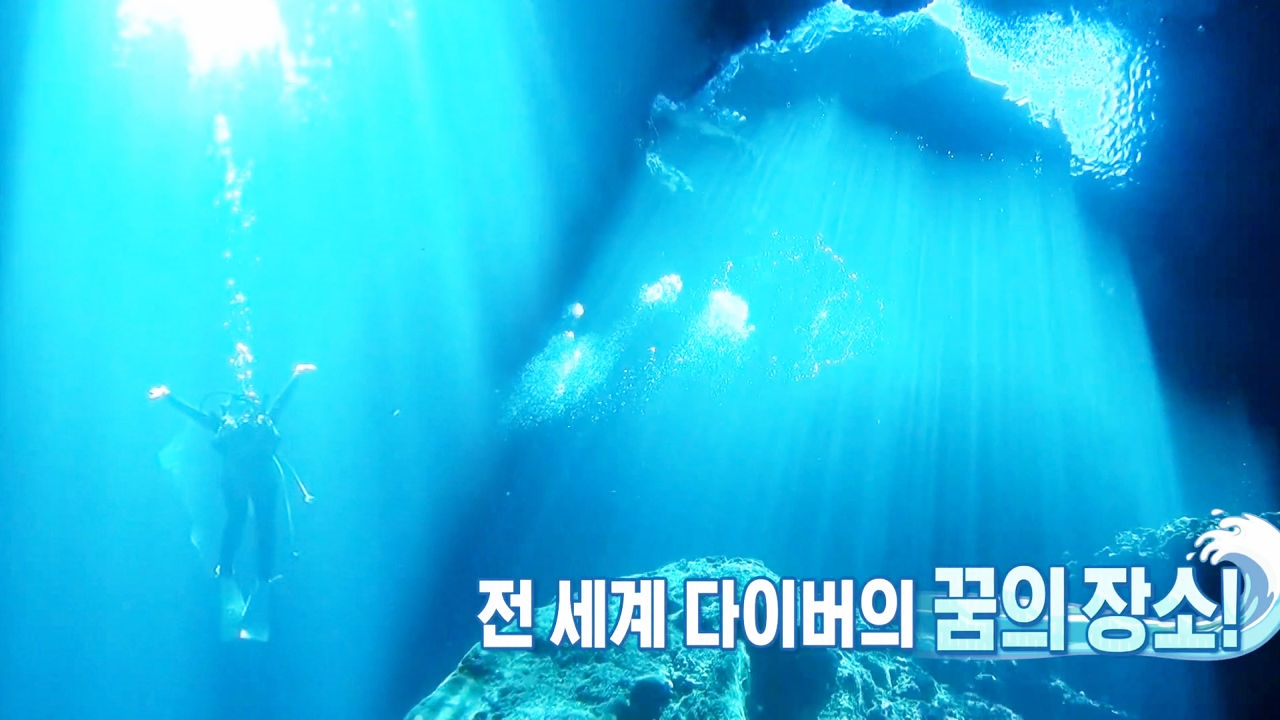 전세계 다이버의 꿈, 신이 주신 선물 ‘로타 홀’