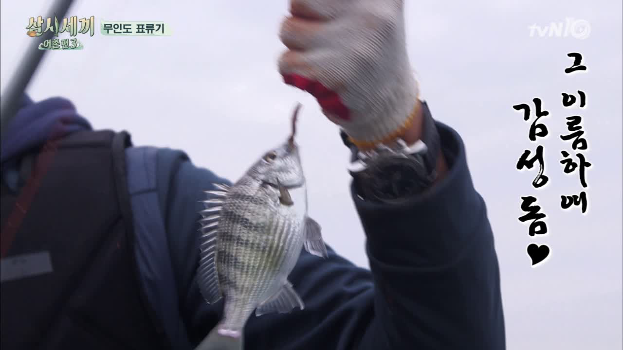 문태공의 무인도 돔캐스팅 (참바다씨 보고계신가요?)