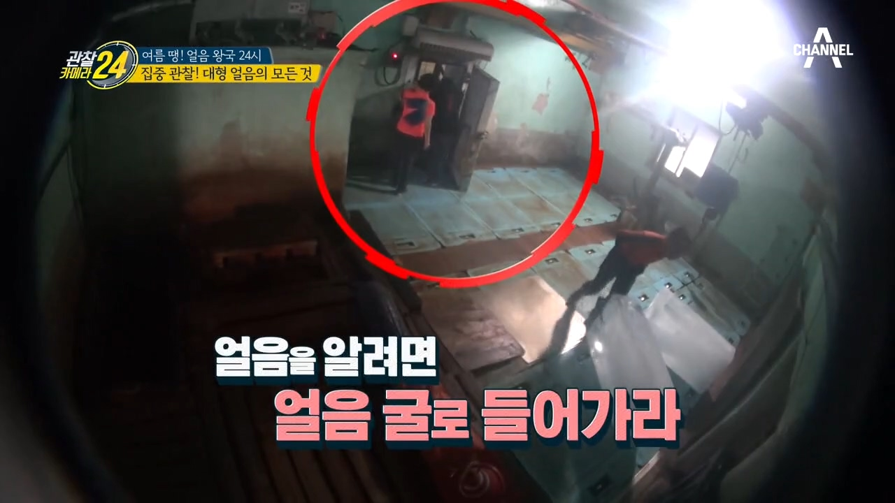 얼음에 관한 A to Z~! 대형 얼음을 만드는 데 바닷물이 필요하다?!