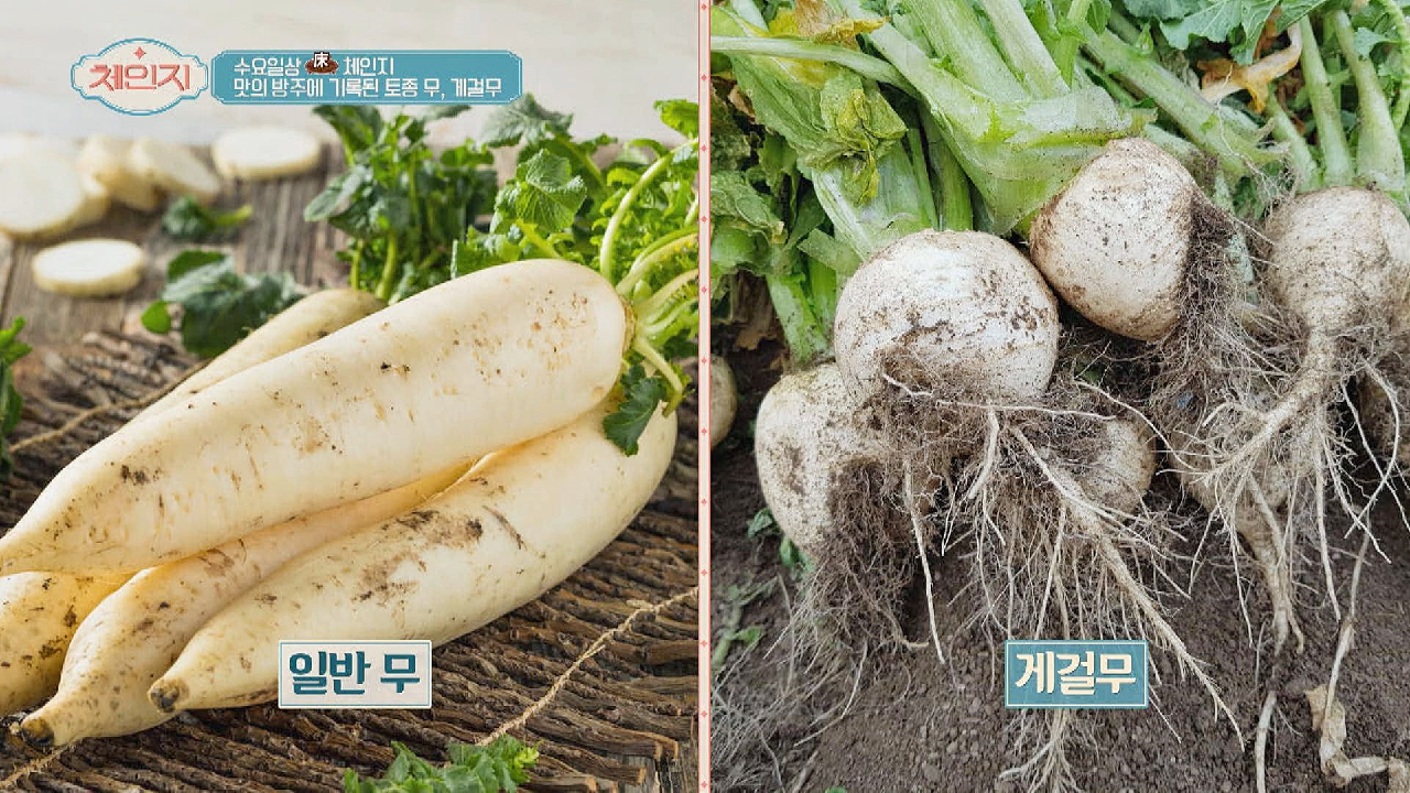 이천과 여주 일대에서만 자라는 아주 특별한 &#39;게걸무&#39;
