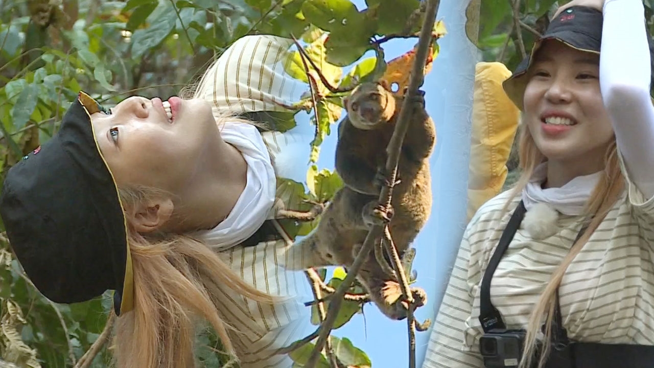 주이, 쿠스쿠스와 20분 눈 맞춤에 목디스크 경보