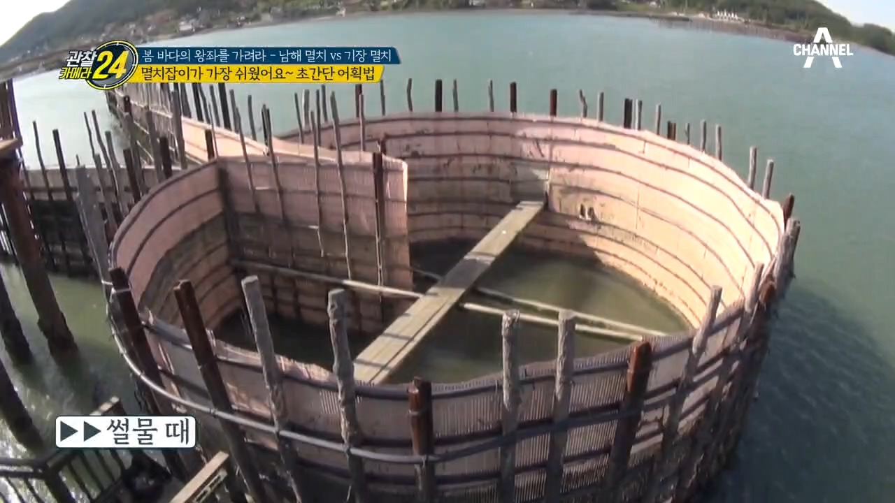 ＠.@ 이렇게 쉬워도 돼?! 최상급 죽방 멸치의 초간단 어획법?!