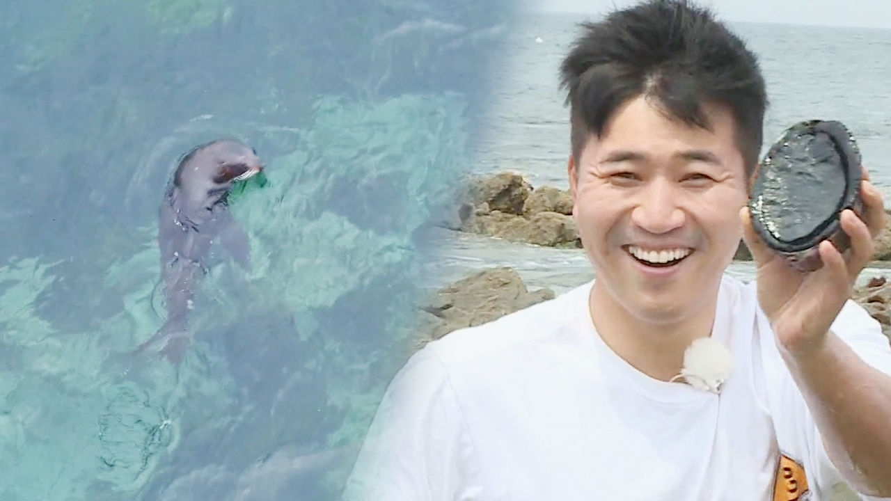“와 물개다” 김종민, 야생 물개 발견에 좋은 징조
