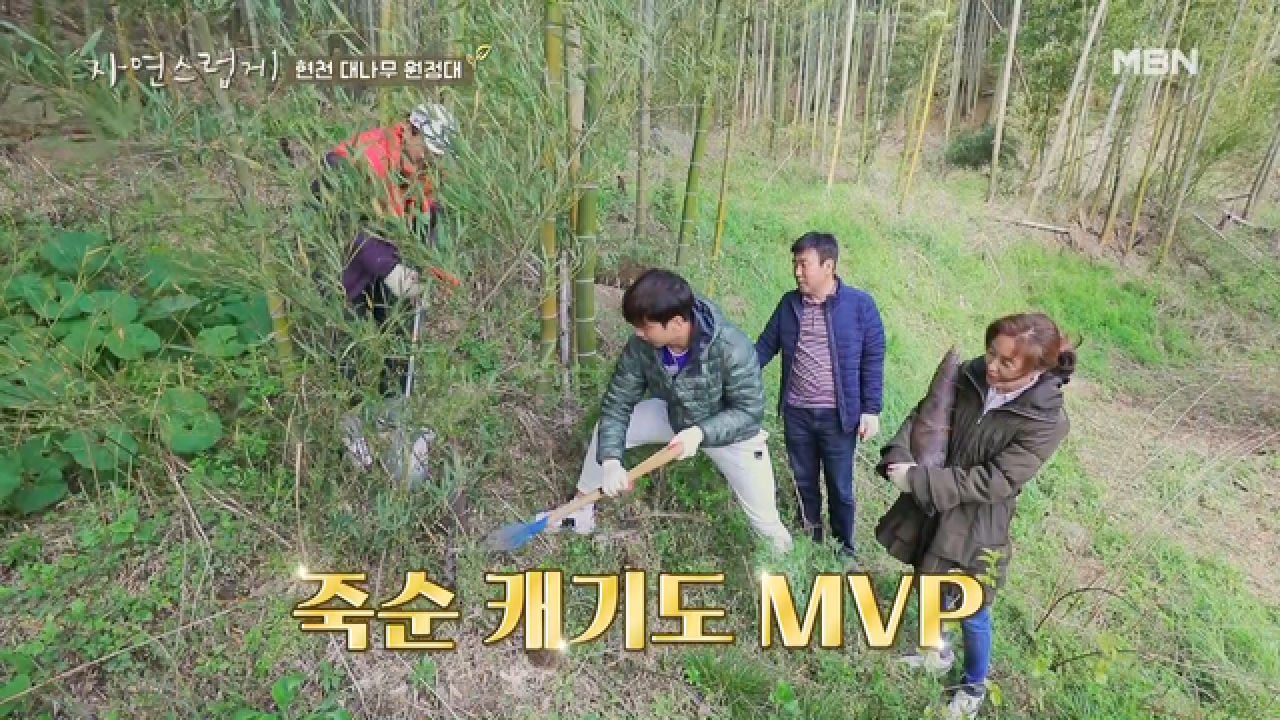 ☆숨길 수 없는 MVP 본능☆ 죽순 캐기 MVP 허훈!