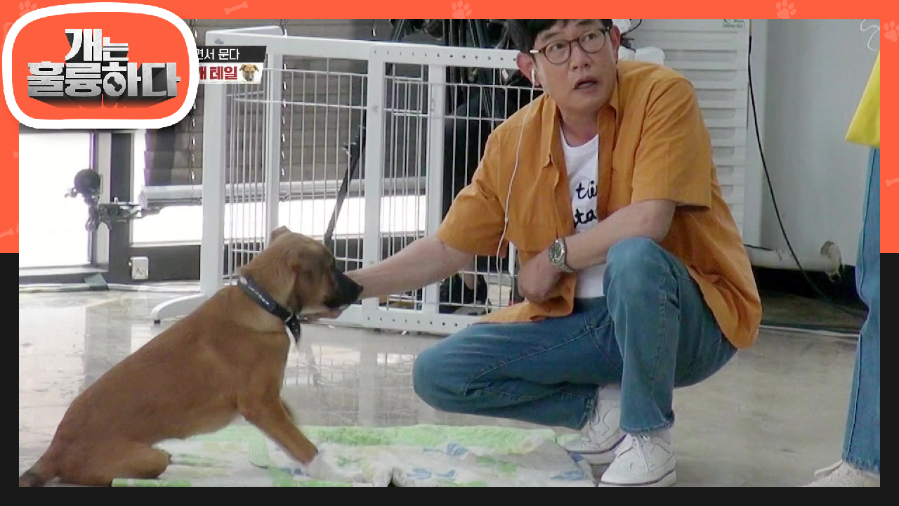 무서운 친구들만 만난 지난날들!! 5개월 된 테일이와 첫 만남을 가진 도연＆규제자 | KBS 210712 방송