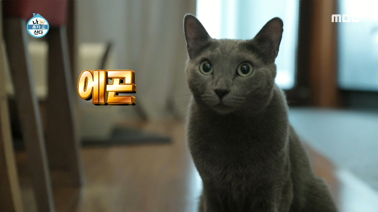 thumb.png?ts=1578708264