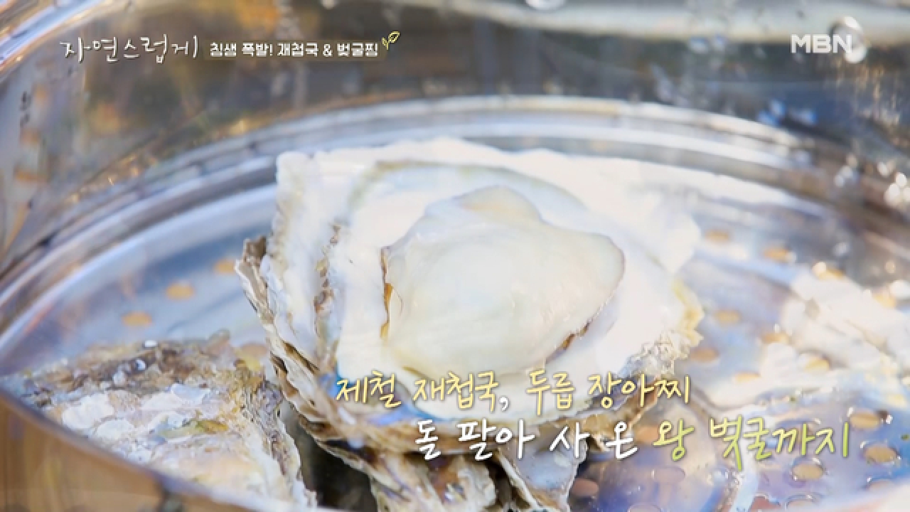 [침샘 주의] 제철 재첩국&amp; 벚굴 찜 먹방♥