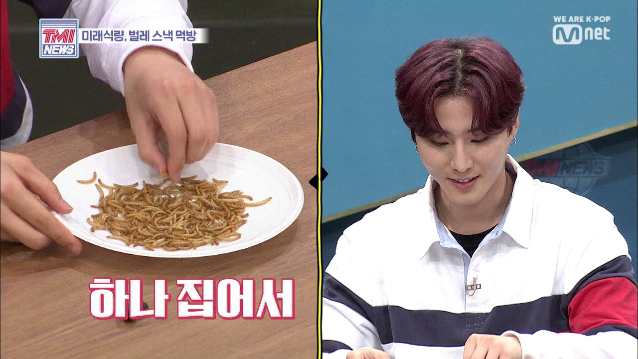 [22회] DAY6의 미래 식량 Mukbang (Feat. 벌레 스낵)
