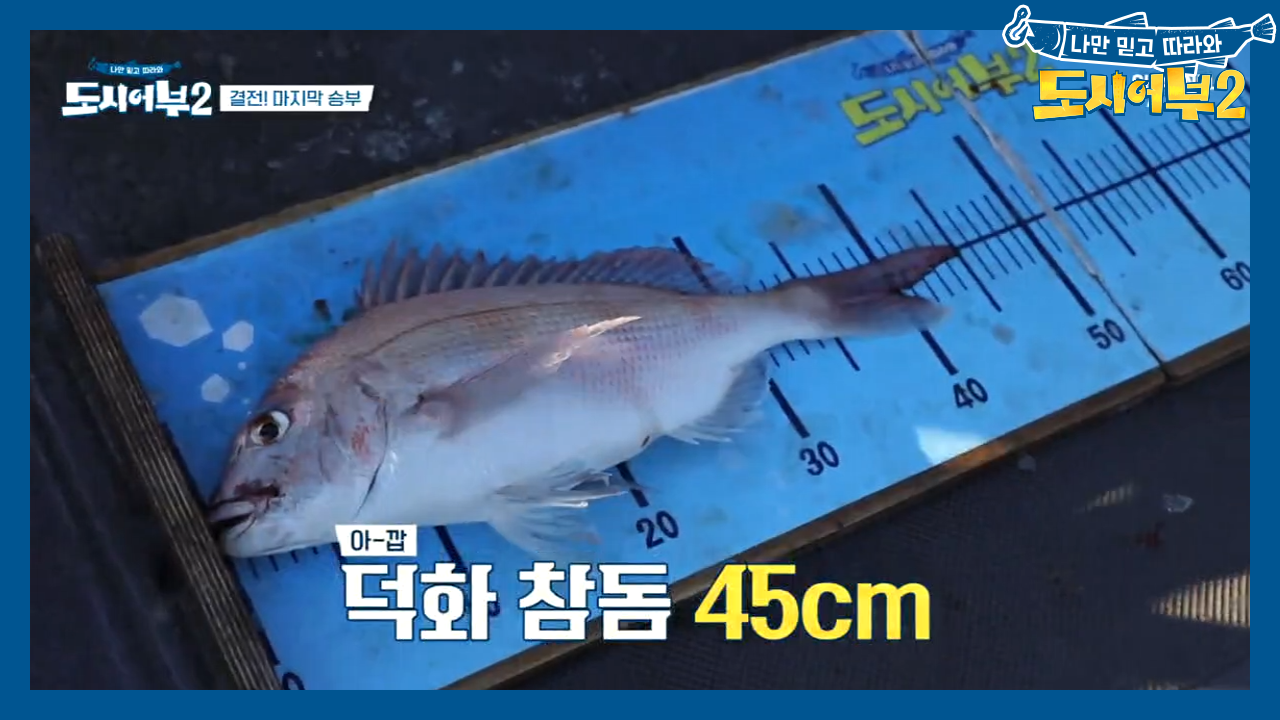 내려갈 생각 없는 덕화의 입꼬리 :-) 갓덕화의 압도적 질주♨