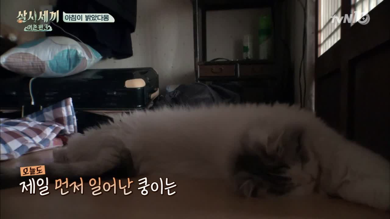 쿵이 특기 모닝뽀뽀로 에릭&amp;균상 기상!